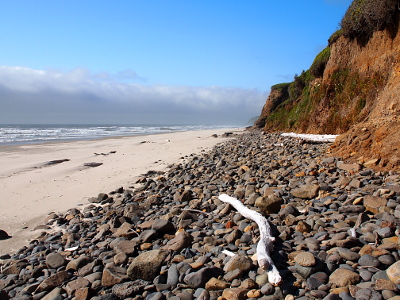 [A two part beach with the part closest to water consisting of a band of sand while beside it and adjacent to the hillside is a band of small rocks interspersed with a few pieces of whitish driftwood.]